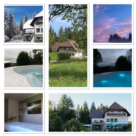 B & B Der Waldvogel Herrischried Eksteriør bilde